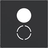 Central pl, speaker conn., ext., A.x/C.x/S.1/B.x/Q.x/K.x black mat