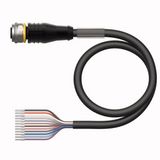 Actuator and Sensor Cable, PVC Connection Cable   RKS12T-10/TEL