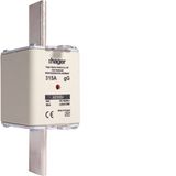 NH fuse NH2 gG 690V 315A with twin indicator and live gripping lug