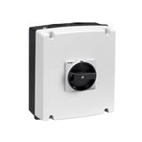 IEC/EN type IP65 non-metallic enclosure switch disconnector, four-pole. With rotating black handle, 63A. Enclosure dimensions: 175x210x99mm/6.9x8.3x3.9''