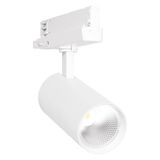 TR SP XR V 30W 930 24DEG WT LEDV