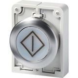 M30I-FDL-W-X100 Illuminated pushbutton actuator, RMQ-Titan, flat, momentary, White, inscribed, Front ring stainless steel