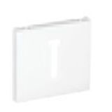 COV PLAT F/T8 FRENCH TELEP SOCKET MATTE WHITE