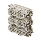 HDC insert, Female, 250 V, 16 A, Number of poles: 16, Screw connection, Size: 5