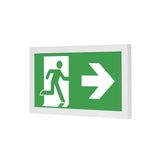 TYLIUS LED B 101 M1h luminaire for emergency and orientation lighting with LE module