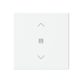 ESP RF AA1621 module