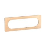 PLATE 3G LARGE BEECH