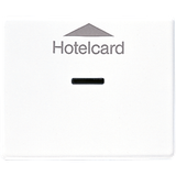 Afdekking SL500 alp.wit Hotelcard-schak
