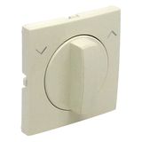 C.PLAT F/ROTARY PUSH-BUT/TWO-WAY SWITCH IVORY