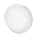 White flat lens for pilot light