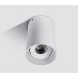 WHITE COB CYLINDER 10W WW IP20 230V