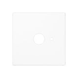 Centre plate A527.060WW
