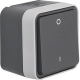 2-pole switch with housing, W.1, grey