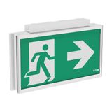 FT Exit Ceiling 20m CGL+, 1-8H