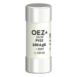 Fuse-link PV22 100A gG