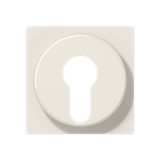 Cover plate f. key switch A528PL