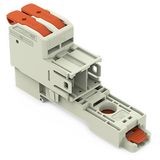 1-conductor male connector lever Push-in CAGE CLAMP® light gray
