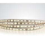 LED STRIP 24V DC CW 5m ROLL 14,4W/m IP68