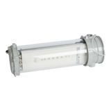 BAES explosion-proof evacuation IP66 IK07 Addressable flux 45lm 1h consumption 0.7W
