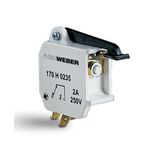 Microswitch: 170H0235 250V 2A