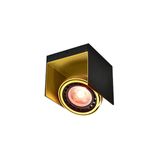 Ceiling fixture Verso,4199,AC220-240V, 50/60 Hz, IP 20,1*GU10, ES111 single, black/gold