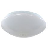 Fichero: KLD1-CCT.jpg