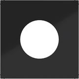 Central plate for push button/light signal E10, A.x/C.x, night black glass