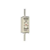 Fuse-link NH1 gG 500VAC 100A live tags Double indicator