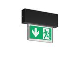 HALYXX, 4,7 W, black, on/off Ceiling luminaires, L 233 B 40 H 184, CBS
