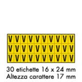 Adhesive label - 175x80 - 10 sheets / 30 labels each