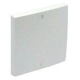 ROCKER F/TWO-POLE SWITCH ICE