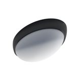 PANLUX LED lamp ELIPTIC 15W 1500lm 4000K IP54 black