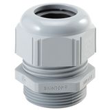 Cable Gland SKINTOP ST PG11 RAL7001 Light Gray