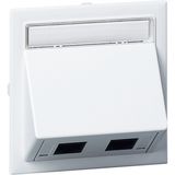 CYB-DP  Angled cover, 2 x  Actassi 500 Cat 6A  STP, mounting plate  and RJ connectors