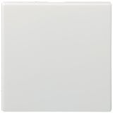 Simple switch 10A, 230V, white, 2M QC