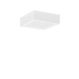 TOLEDO FLAT+ square, 15 W, 2100 lm, 830, 840, white, on/off Surface mo