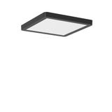 TRIXY square, 14...22 W, 1550...2550 lm, 830, 840, anthracite, on/off 