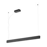 TERMINI pendant light 39486