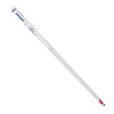 G13F Light Bulb Clear