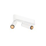GRIP! S surface mount. ceiling dbl PHASE 2700K 21W 29ø wh/bl