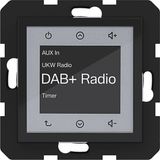Radio touch DAB+, A.x/C.x, night watch glossy