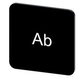 Labeling plate 22 x 22 mm, label black, labeling: Ab
