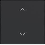 Single seesaw, with printed arrow symbol, A.x/C.x, matte night black