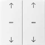 Cover arrow f. 2gang f. push-b. m, clearlenses, S.1/B.3/B.7, p.white m