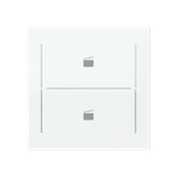 LFST/A.2.70.1-44G Cover plate with legend with Symbol "scene" studio white - Trevion®