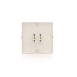Double button for switches and push buttons, champagne matt