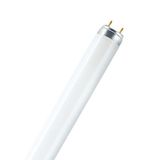 Fluorescent Tube MIX  36W/31-830 T8 RADIUM  ELG