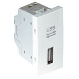 USB DATA SOCKET - 1 MOD WHITE