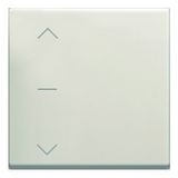 BUTTON 2M IW NT 10 4331727
