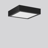 TOLEDO FLAT+ square, 19 W, 2000 lm, 827-865, anthracite, DALI Surface 